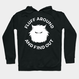 Fluff Around and Find Out Cat Lover Hoodie